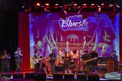 Eureka Springs Blues Party 2027- VIP Pass