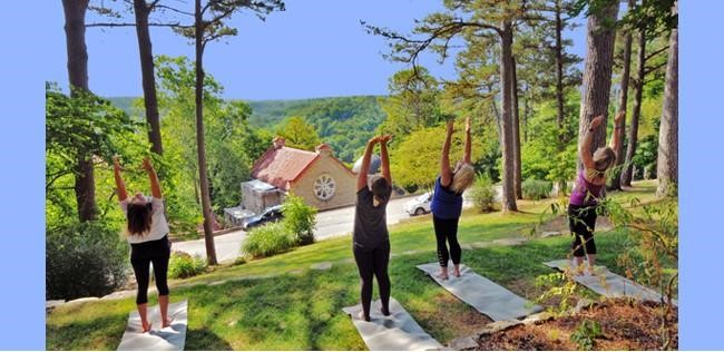Yoga Flow for All 