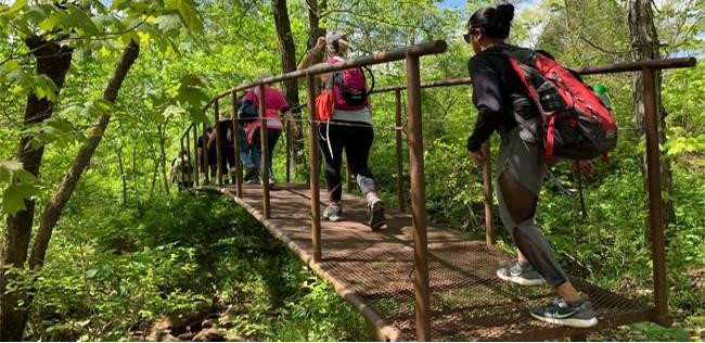 Petit Jean State Park Hike- Cedar Creek Falls 