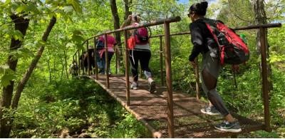 Petit Jean State Park Hike- Cedar Creek Falls 