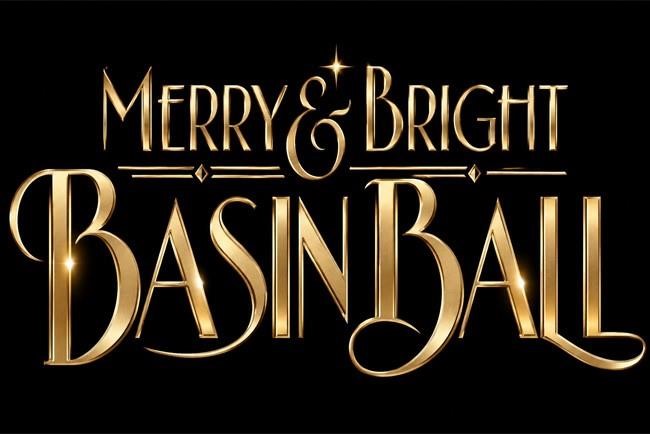 Merry & Bright Basin Ball 